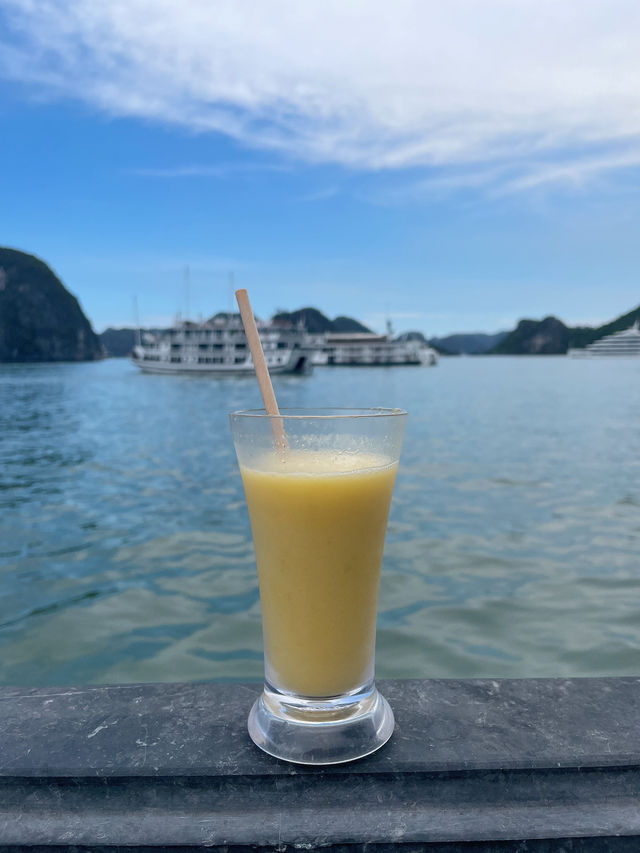 ｜越南｜下龍灣天堂島-一覽無遺的壯麗海灣，從山巔到沙灘都讓人驚嘆！