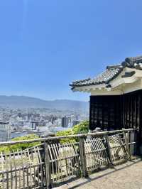 🏯 마쓰야마성 천수각 – 시내전망 관람 포인트 가이드