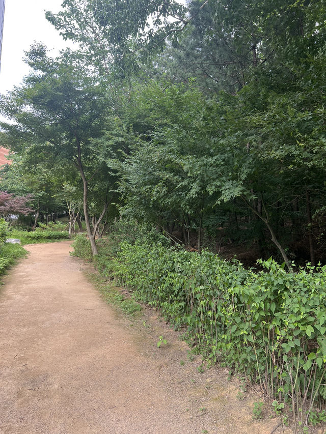 황톳길 공원