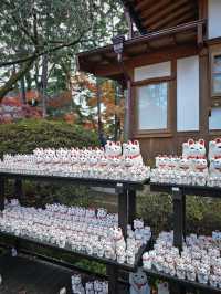 Gotokuji Temple วัดแมวกวัก