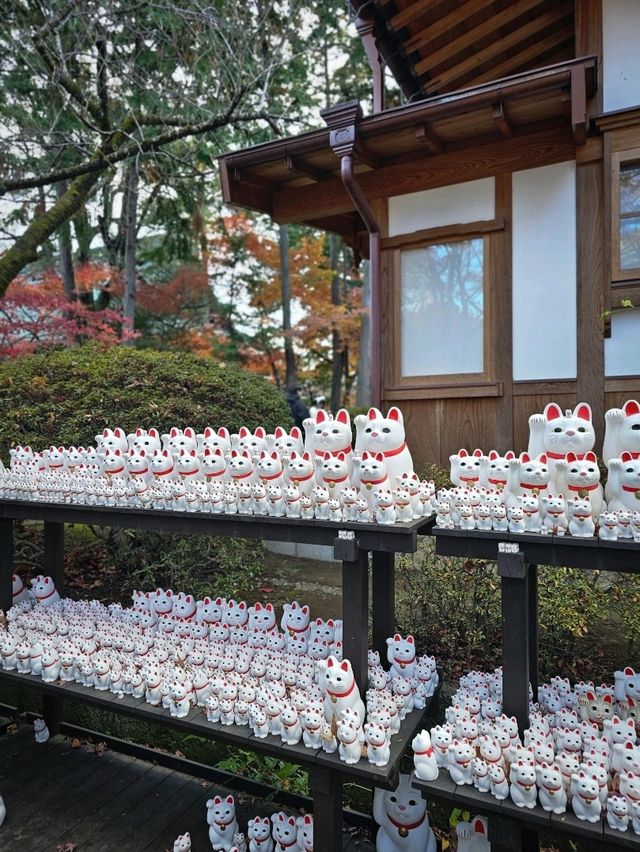 Gotokuji Temple วัดแมวกวัก