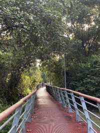 Evening Walks & Wind-Downs: My Chill Escape to Taman Tasik Cyberjaya