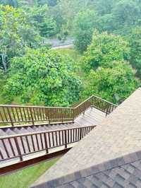 Nature’s Hidden Gem: Discover the Wild Beauty of Taman Wetland Putrajaya!
