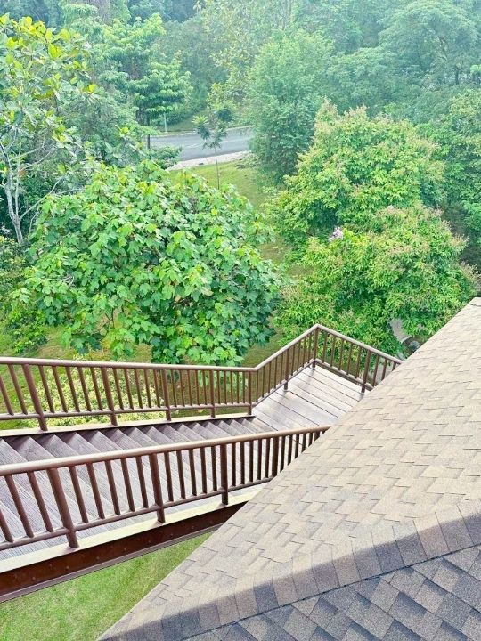 Nature’s Hidden Gem: Discover the Wild Beauty of Taman Wetland Putrajaya!