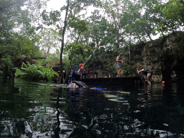 【グラン・セノーテ（Gran Cenote）｜神秘の光と水に包まれる夢のような洞窟泉】