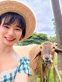 Bucolic Khaoyai
