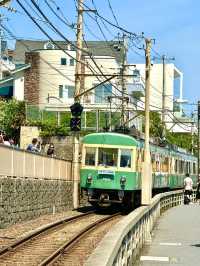 🌸⛩️ 3D2N Mt. Fuji, Hakone & Kamakura Scenic Escape! 🗻🚞✨