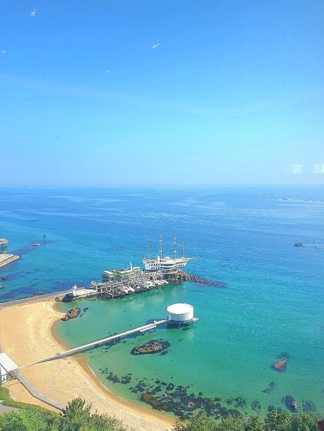 여름엔 동해바다로 호캉스 가요~⛵️