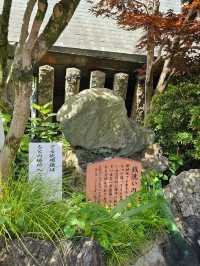 合法洗錢好靈驗？來犬山〔三光稻荷神社〕招財開運🦊💰