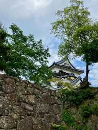 【国宝・彦根城でタイムスリップ体験🏯】ひこにゃんにも会えるかも⁉️