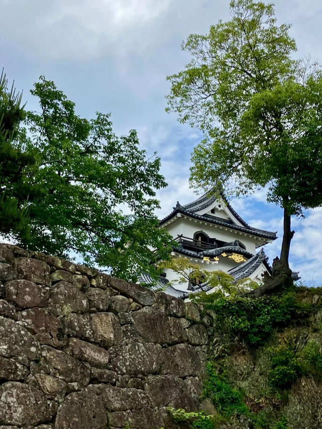 【国宝・彦根城でタイムスリップ体験🏯】ひこにゃんにも会えるかも⁉️