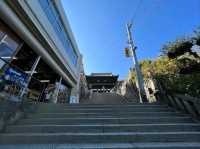 Stairway to Shrine Heaven at Kotohira 