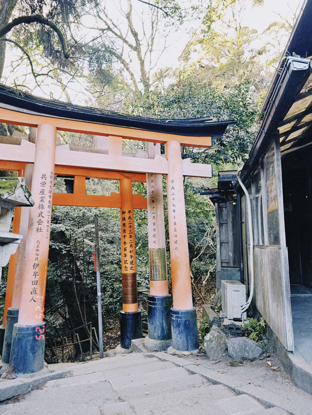 ⛩️ Fushimi Inari Shrine – A Kyoto Icon You Can’t Miss ✨