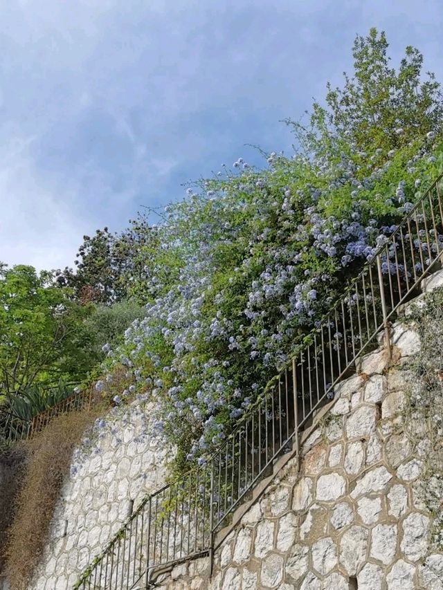 花咲く南仏のカラフルな村