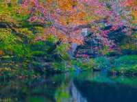 Korea’s Autumn Season