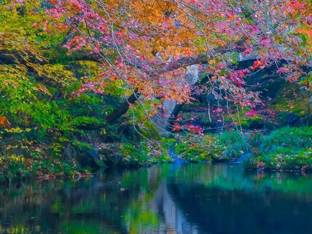 Korea’s Autumn Season