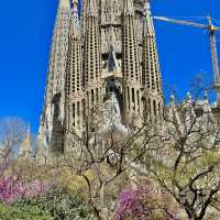 🇪🇸 西班牙｜聖家堂 La Sagrada Família