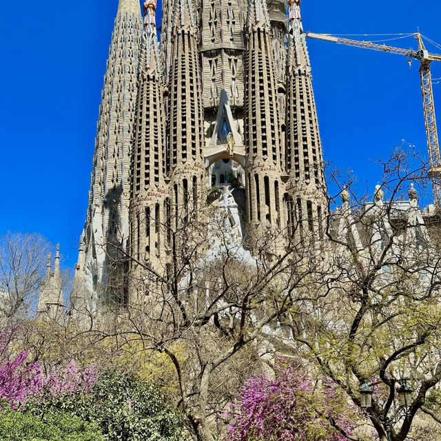 🇪🇸 西班牙｜聖家堂 La Sagrada Família