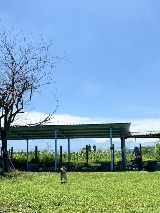臺灣屏東🌳【這裡是毛小孩的遊樂園，也是爸媽的美食基地！】