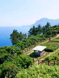 Ulleungdo, Main Character Energy