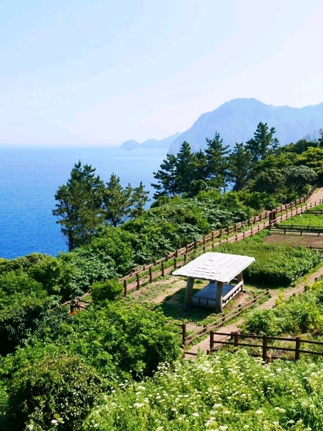 Ulleungdo, Main Character Energy