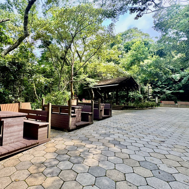 石龜坑山古道巡禮