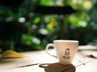 จิบกาแฟเดินสะพานเชือกที่เทดดู้คอฟฟี่