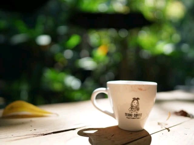 จิบกาแฟเดินสะพานเชือกที่เทดดู้คอฟฟี่