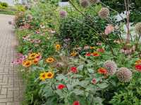 A Floral Escape at Yoyogi Park