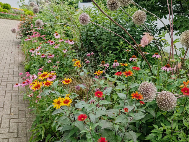 A Floral Escape at Yoyogi Park