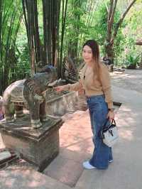 วัดผาลาดเป็น “วัดลับกลางป่า”  เชียงใหม่