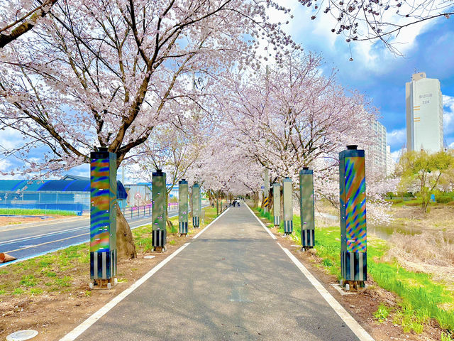 김포명소 추천 산책하기 좋은 곳 계양천 산책로