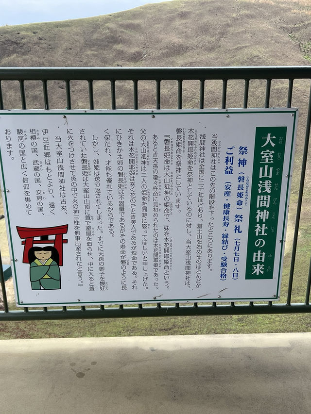 *壯觀*、*全景*、*神聖*、*夢幻*。🌿  你最想親身感受哪一種感覺？