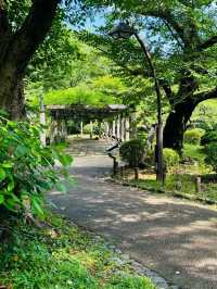 ～鎌倉中央公園～野性的綠意～