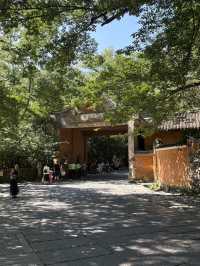 천태종 발상지 국청사, 산책과 힐링은 덤🪷