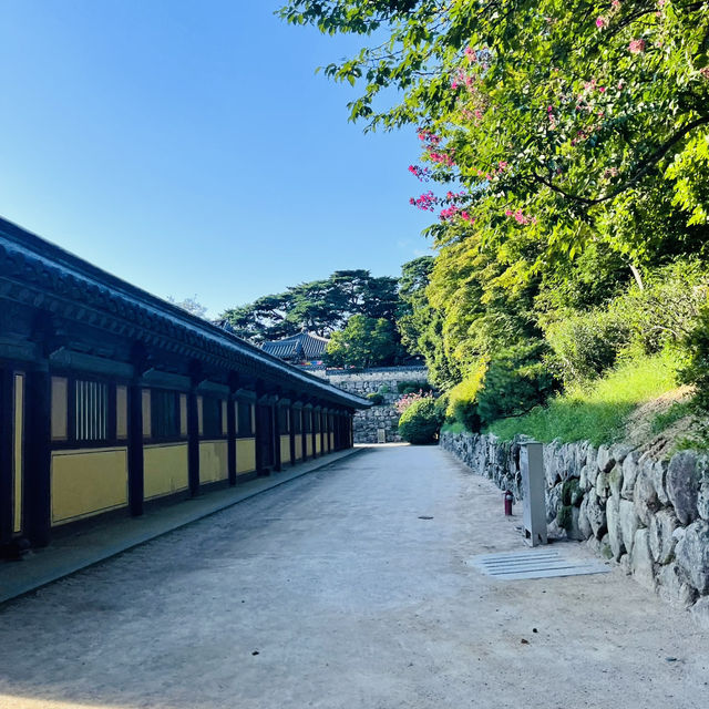 천년의 시간이 머무는 곳, 경주 불국사 여행기