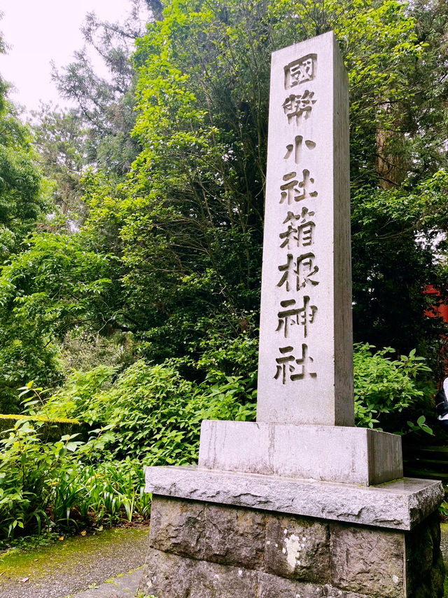 來箱根不拍這裡會後悔！森林圍繞的水中鳥居美到出神✨