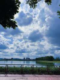 桃園市區也能遇見自然仙境 桃園 1-4 號生態埤塘｜步道、樹蔭、湖景一次滿足的城市秘境