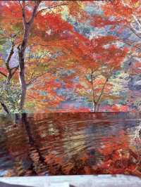 京都・嵐山の紅葉