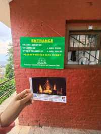 Monkey Temple, The Giant Dome famous stupa in Kathmandu