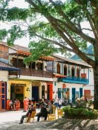暮らしたくなる街、ハルディン☕️🇨🇴