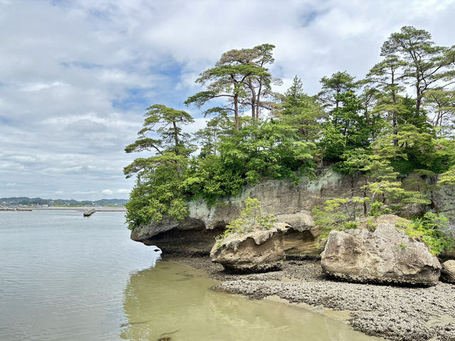 【宮城・仙台】歴史とスイーツ、美食と絶景をめぐる贅沢旅✨