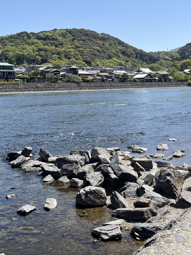 🌿 A Day by the Kamo River: Kyoto’s Calm in Motion 🏞️⛅