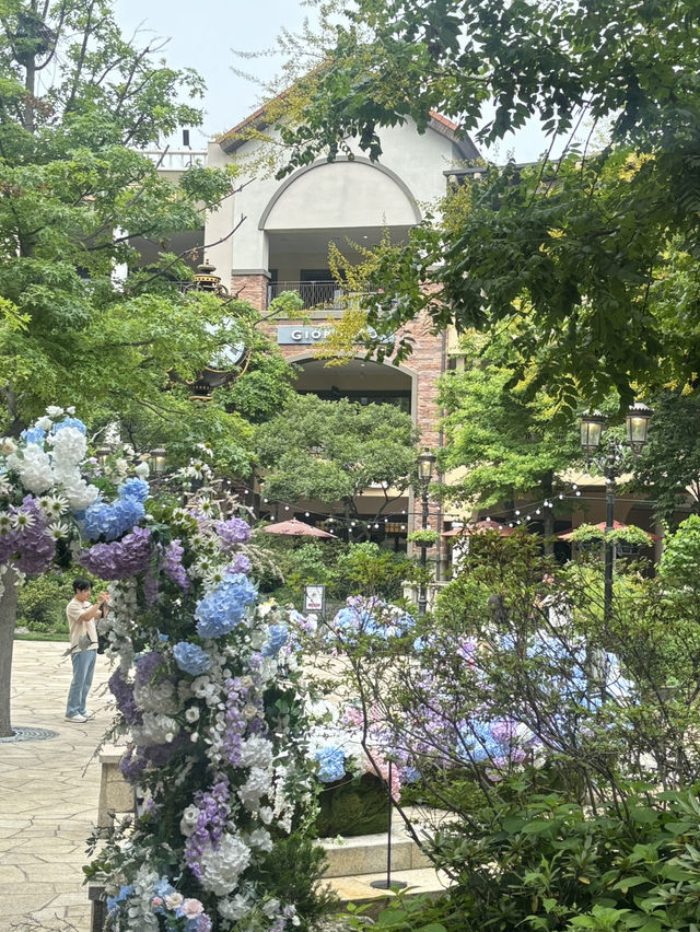 배곧으로 떠나자!!