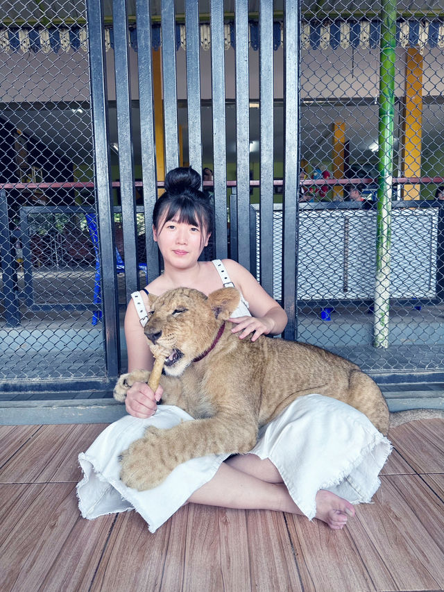 「泰」好拍啦～曼谷必去的動物園