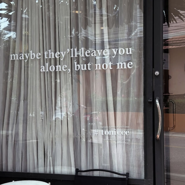 Mistletoe Flour Thyme – Pattaya  