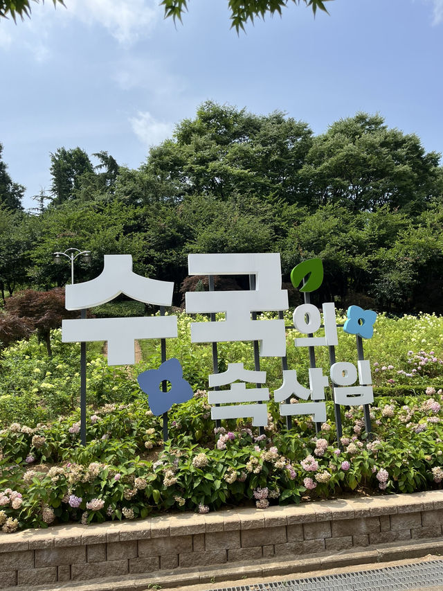 부천 여름 야외 데이트는 바로 여기🌸