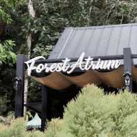 Into The Forest Café กระบี่