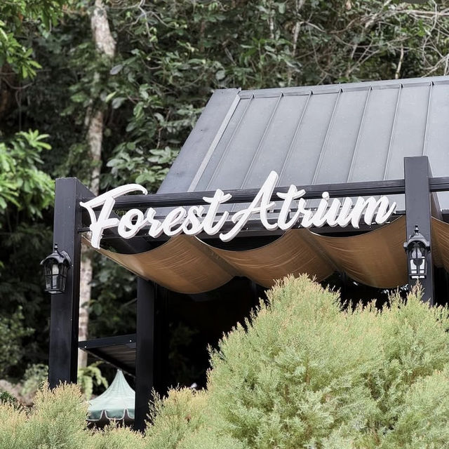 Into The Forest Café กระบี่