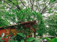 คาเฟ่นนทบุรีสุดกรีน